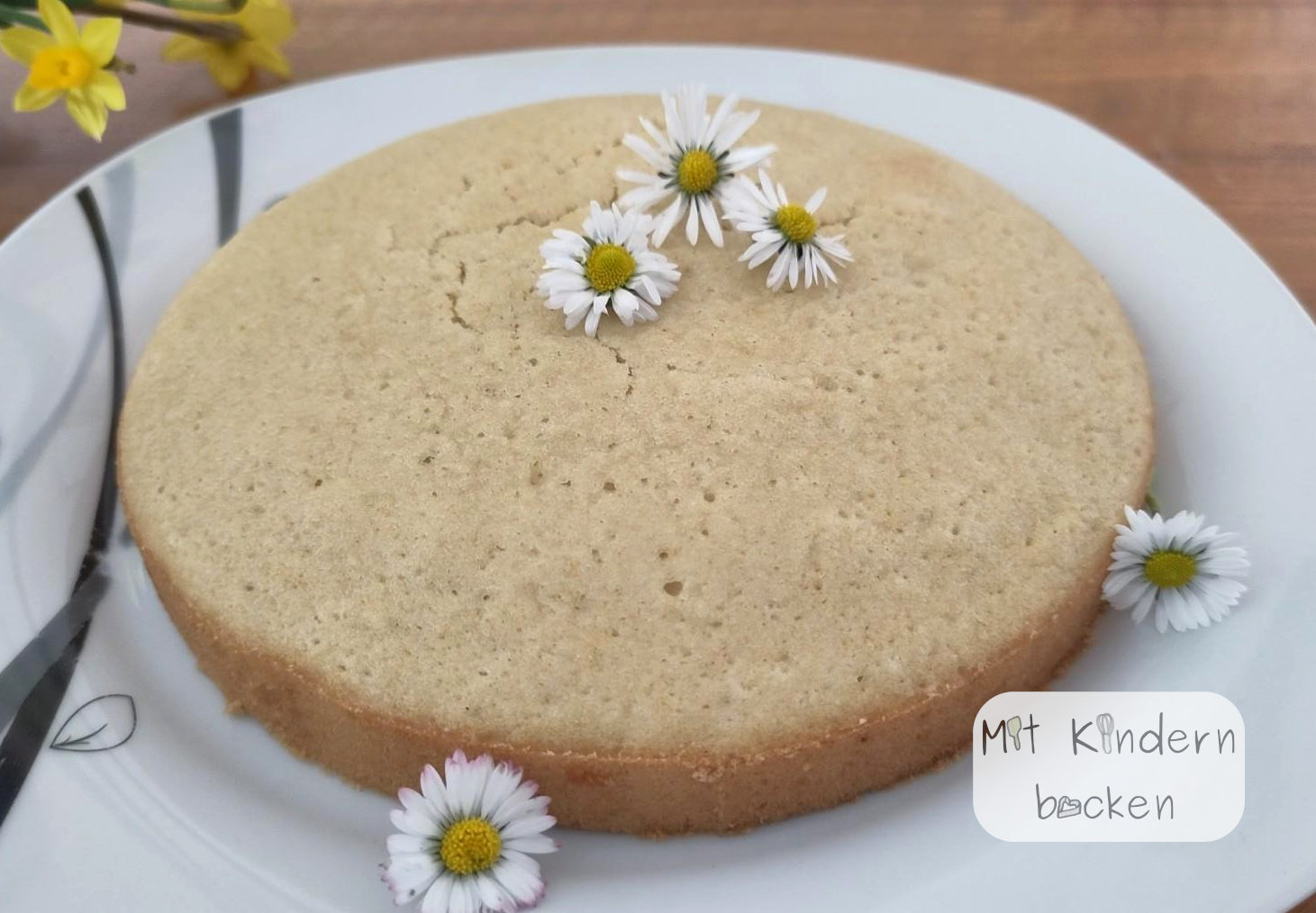 Veganer Tortenboden - Mit Kindern backen - Histaminarmer Biskuit